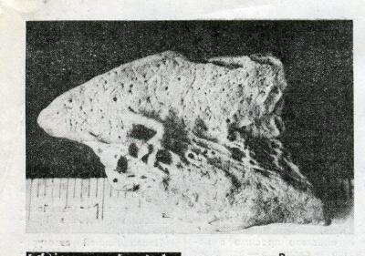 Прикрепленное изображение: img736.jpg